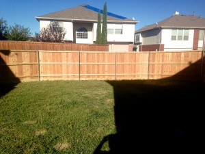 IMG_4363 (1)